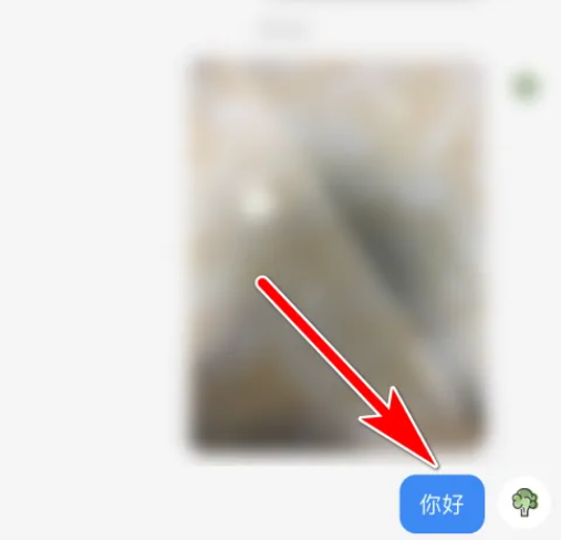 小红书怎么撤回消息 小红书消息撤回操作方法			