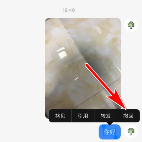 小红书怎么撤回消息 小红书消息撤回操作方法			