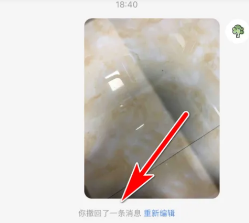 小红书怎么撤回消息 小红书消息撤回操作方法			