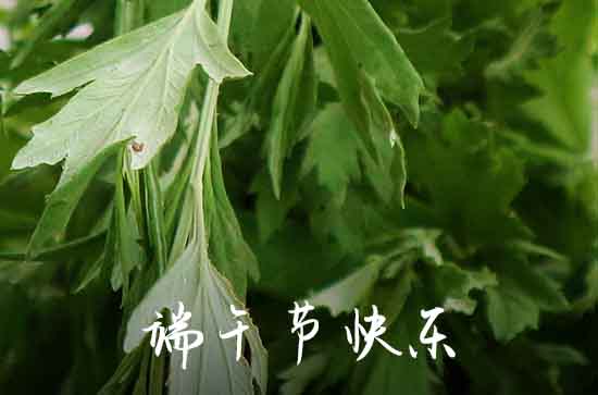 最新祝福语：2024端午节朋友圈说说心情短语