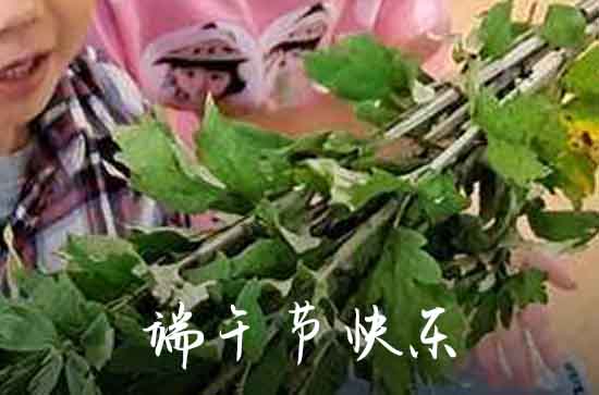 2024端午节幽默好玩祝福语大全 幽默端午节祝福语