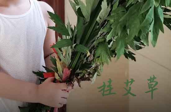 2024祝朋友端午节快乐的经典短信祝福语