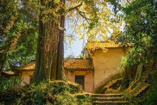 都江堰秋季旅游攻略 都江堰秋季旅游攻略